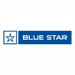 bluestar-company-logo