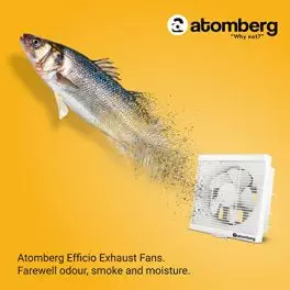 atomberg Efficio Exhaust Fan 250mm with BLDC Motor Easy to Clean 11 Year Warranty White 0 1
