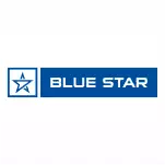 bluestar-company-logo