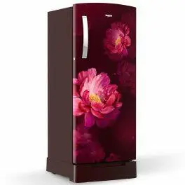 Whirlpool 215 IMPRO ROY, 192 L 3 Star Icemagic Pro Inverter Direct-Cool Single Door Refrigerator, With Base Drawer, Wine Peony
