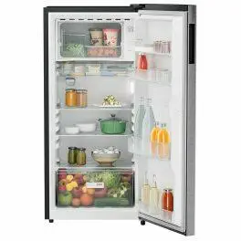 Liebherr DNPSIC 1901, 191L 3 Star Inverter, Direct Cool Single Door Refrigerator, 20 Years Warranty on Compressor, Freezer 22 L, Silver Steel